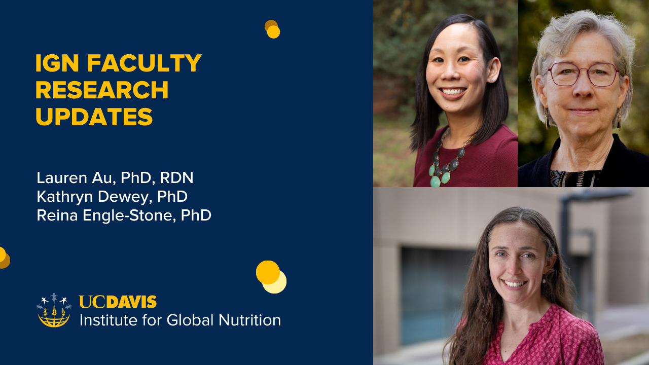 IGN Faculty Research Updates banner with three headshot photos, UC Davis IGN logo, blue background