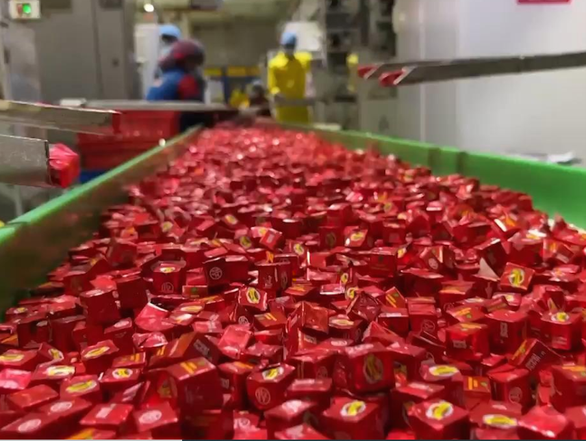 Red wrapped Bouillon Cubes in factory assembly line