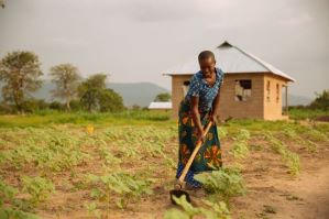 African woman tilling field, & mudbrick shelter.jpg