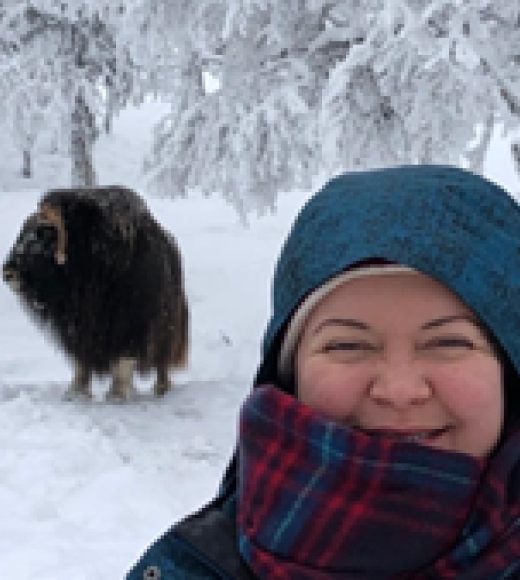 Mau & Norway Musk Ox!-Dec2019.png